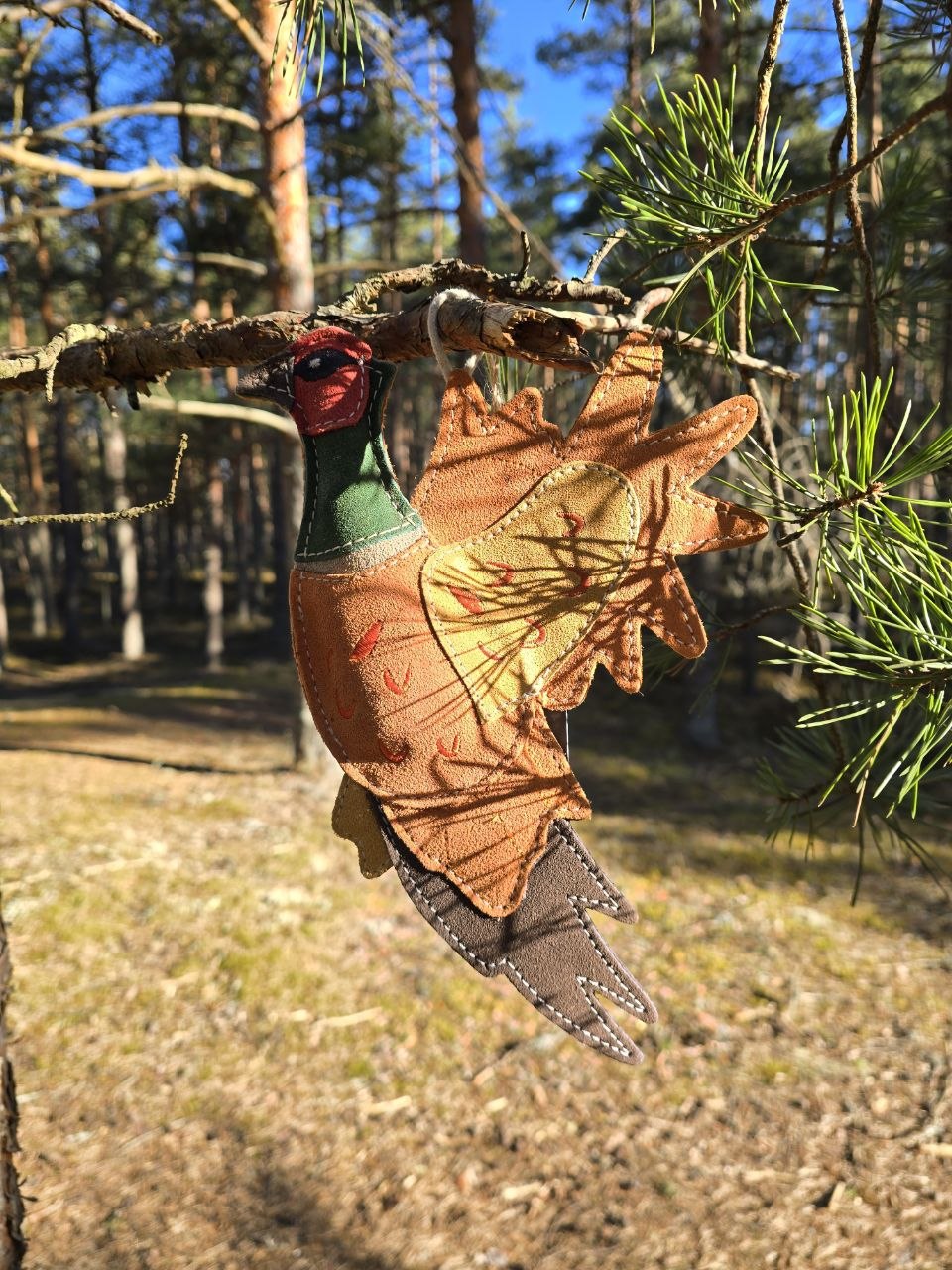 Bracken the Pheasant