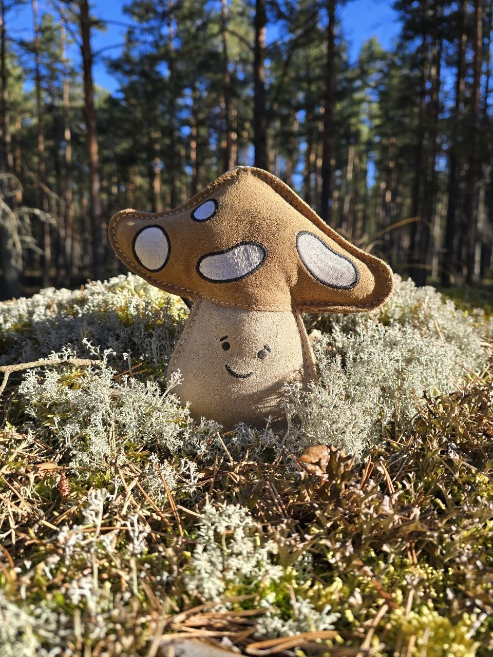 Chestnut the Mushroom