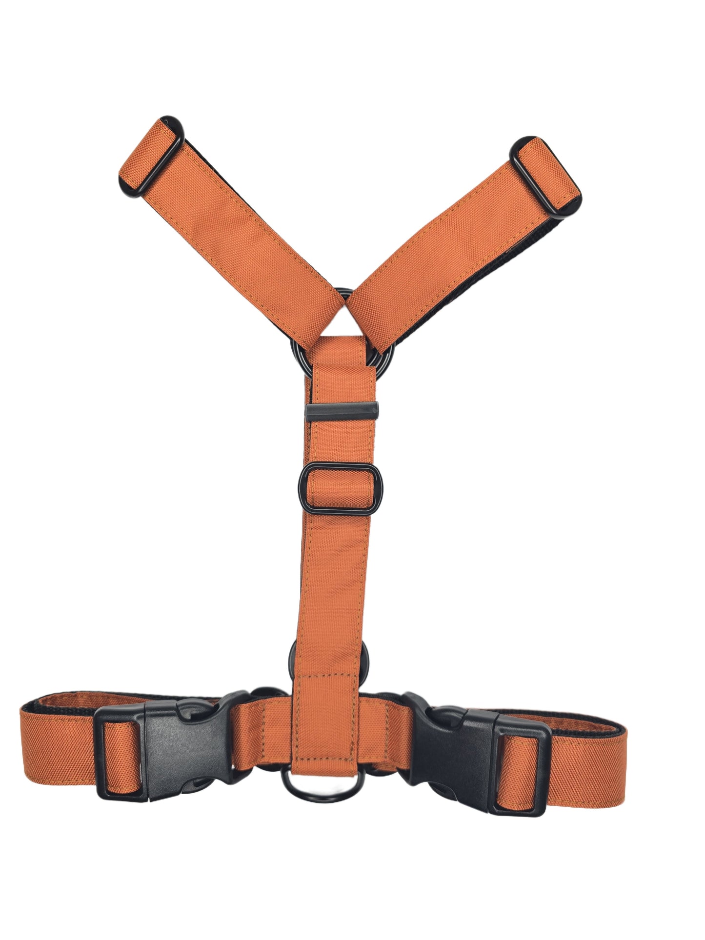Harness - Orange