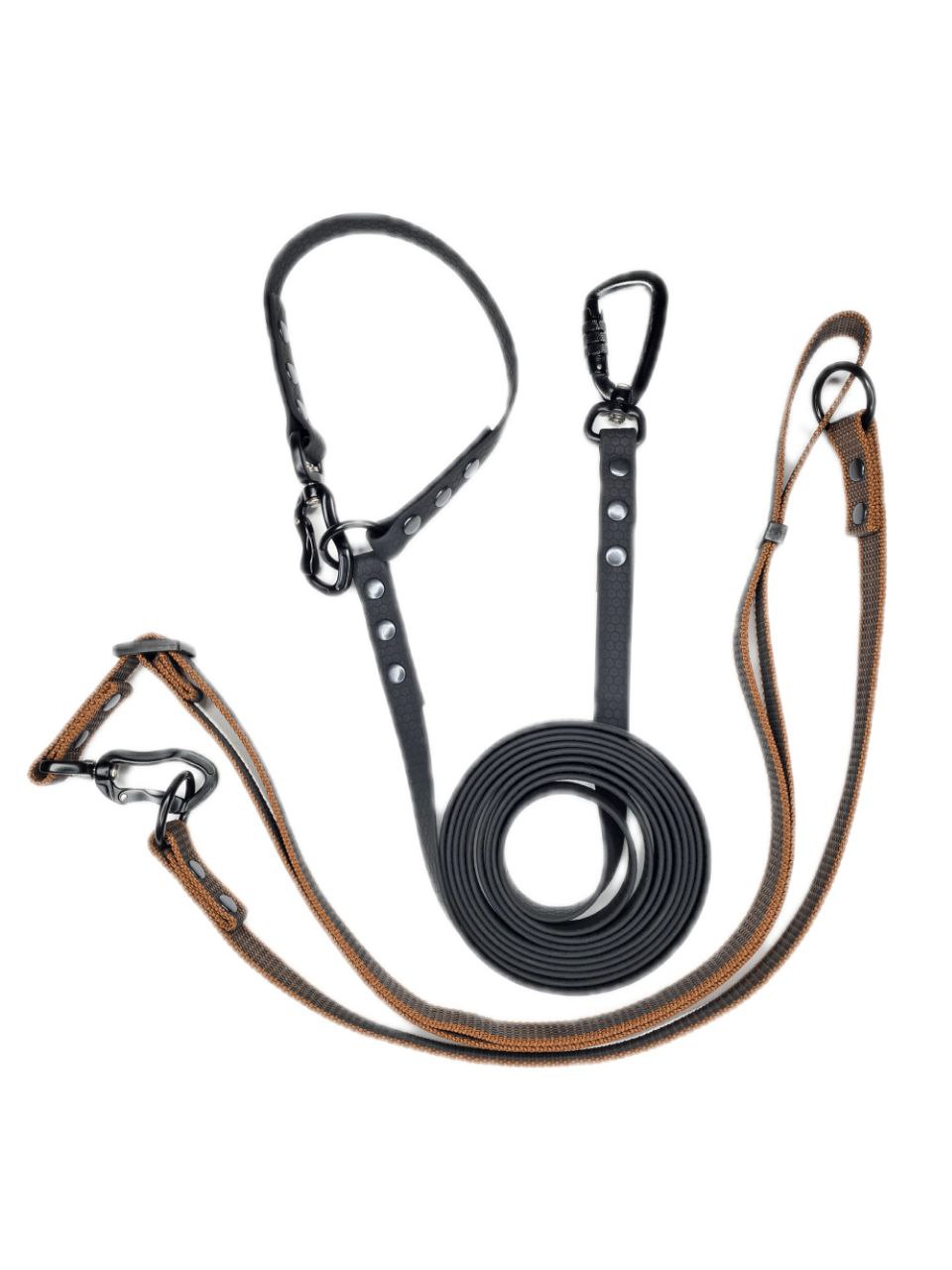 Transformer leash for medium and large dogs