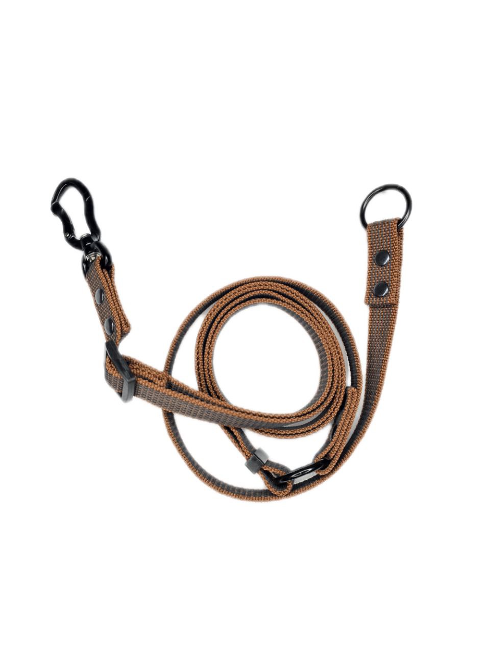 Transformer leash for medium and large dogs