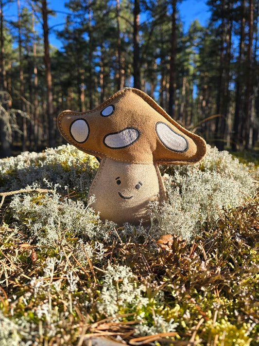 Chestnut the Mushroom