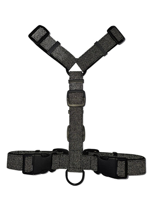 Harness - Reflective