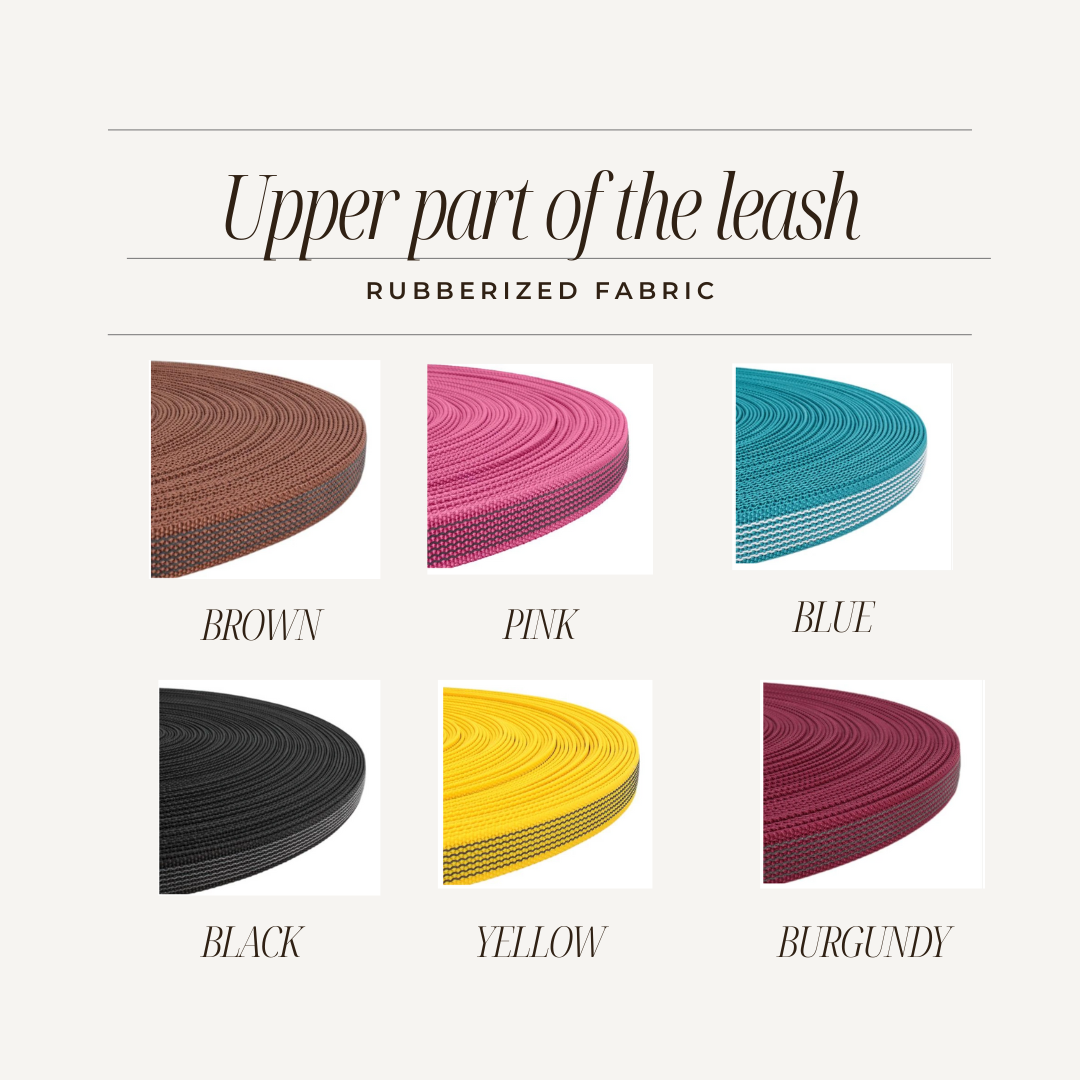 Transformer leash for medium and large dogs