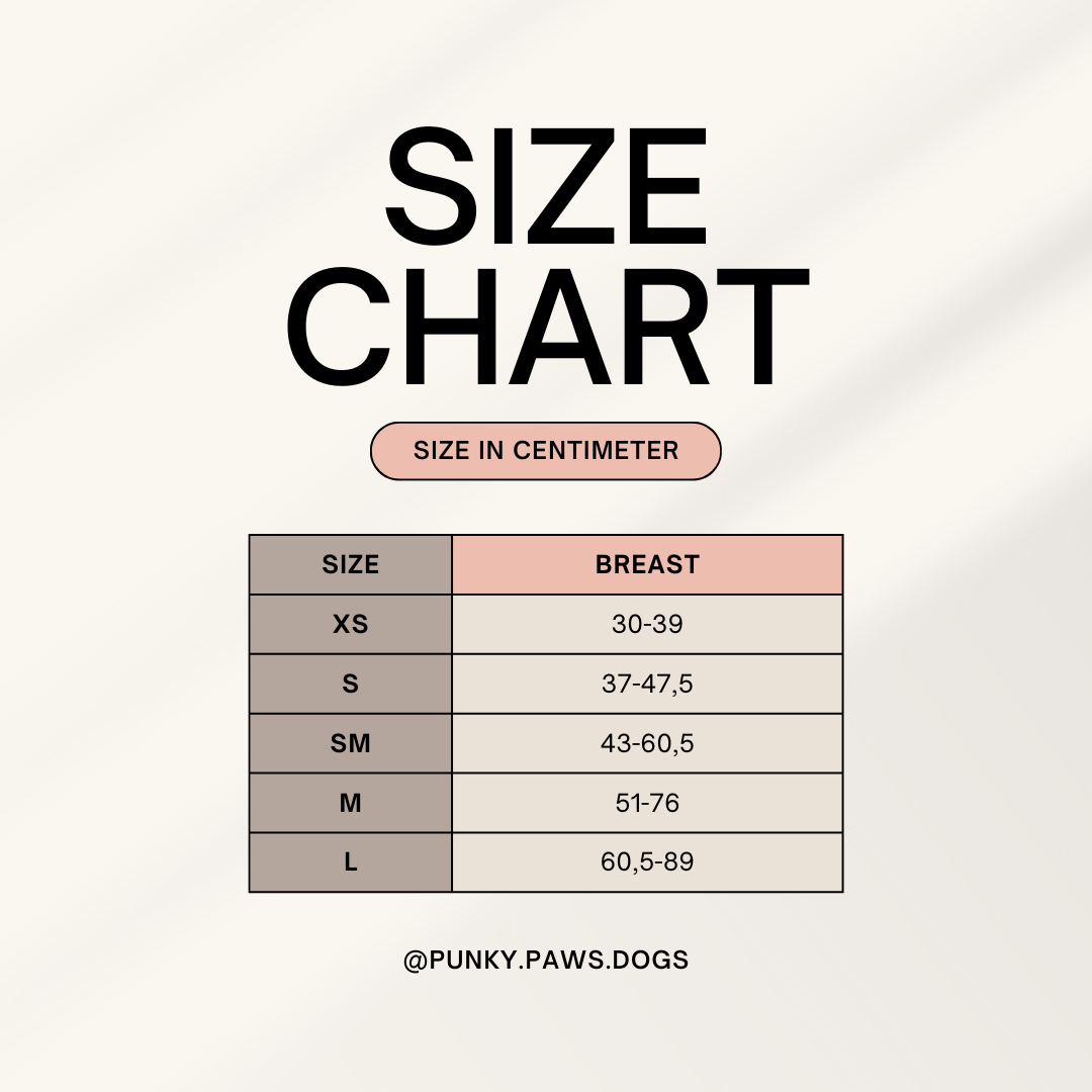 Additional safety strap - Black