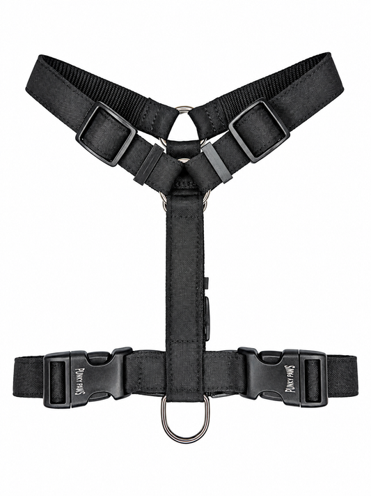 Harness - Black