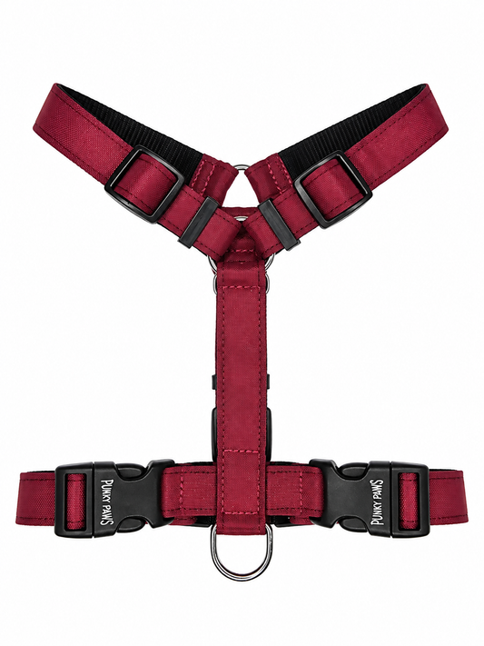 Harness - Bordo