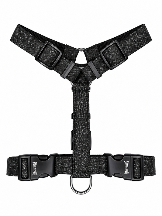 Harness - Reflective