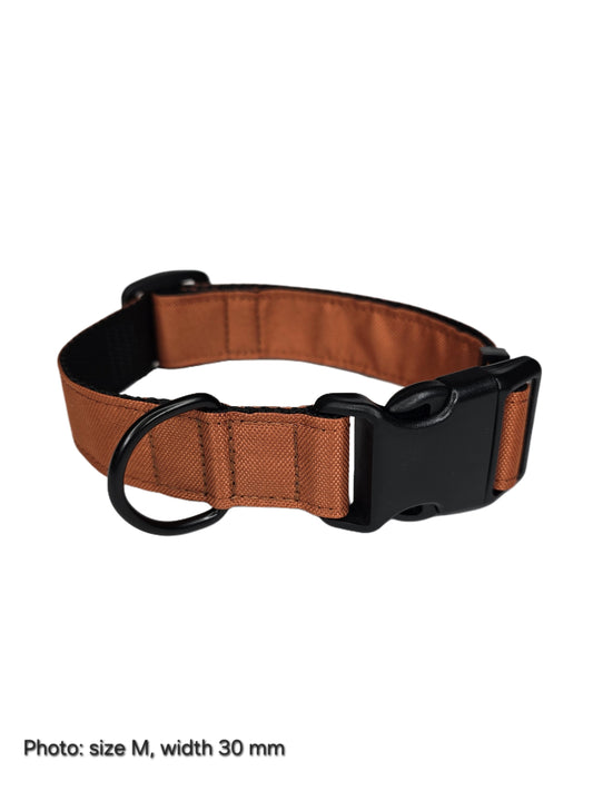 Dog Collar - Orange