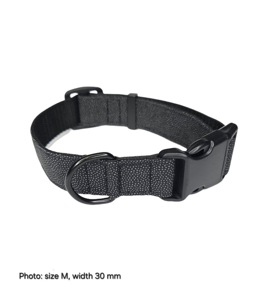 Dog Collar - Reflective