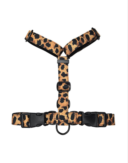 Harness - Leopard