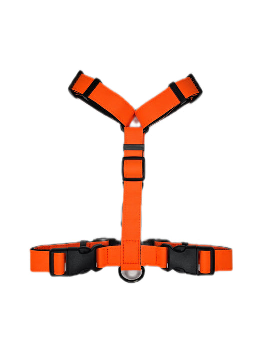 Harness - Neon orange