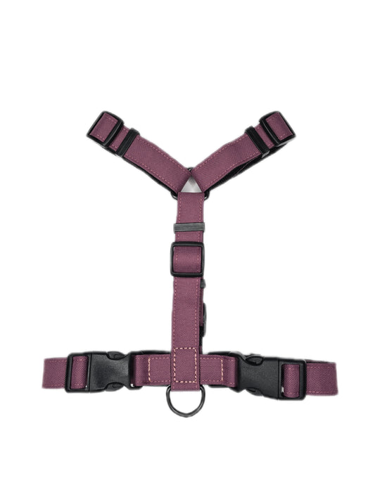 Шлейка - Слива