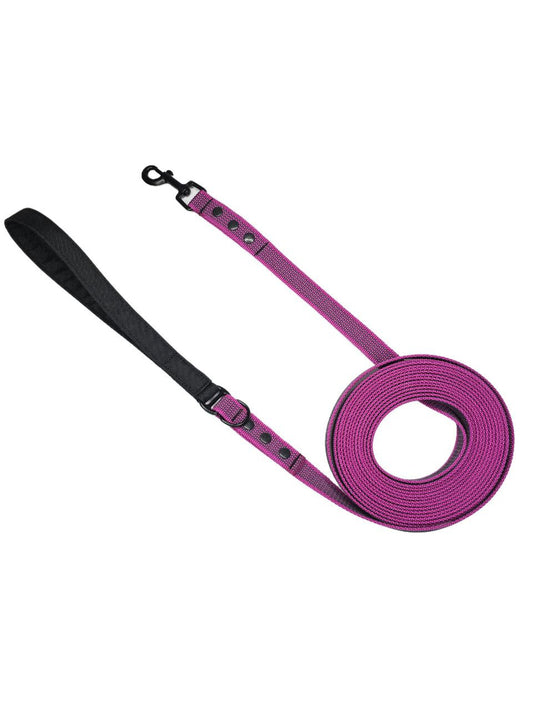 Leash - Orchid
