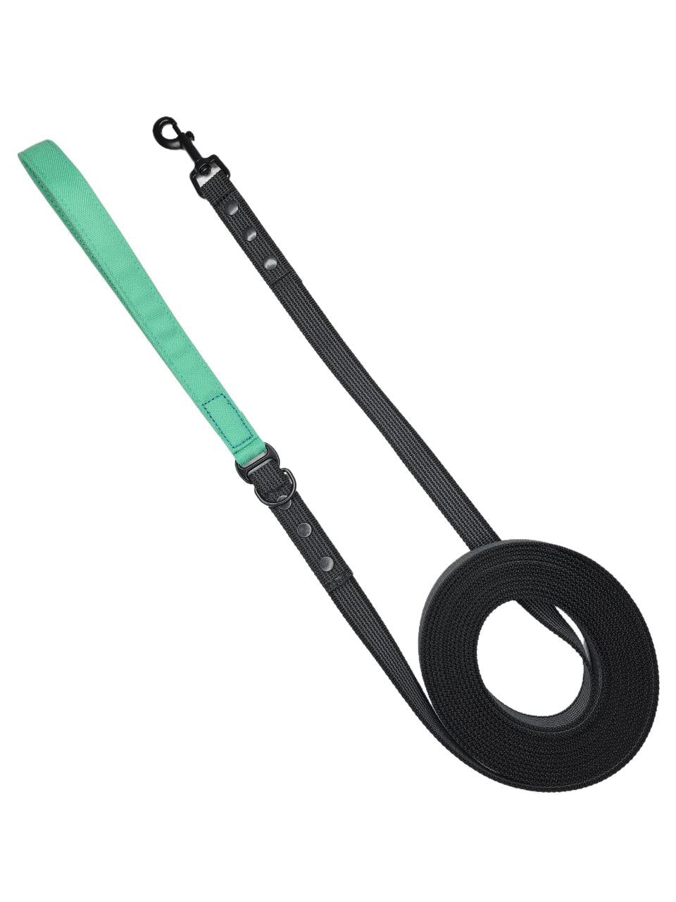 Leash - Black with a single-color handle of your choice