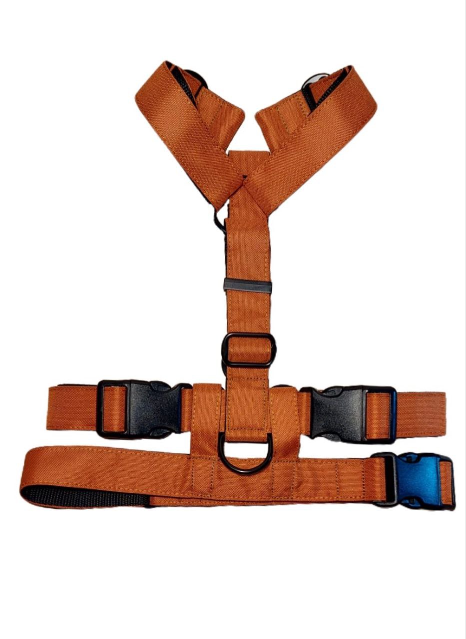 Additional safety strap - Black