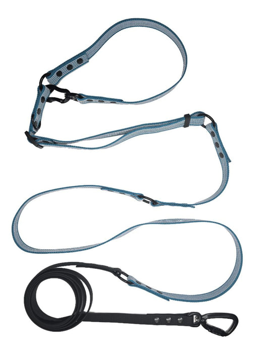 3-in-1 Adjustable Dog Leash, for medium and large dogs - 3 m