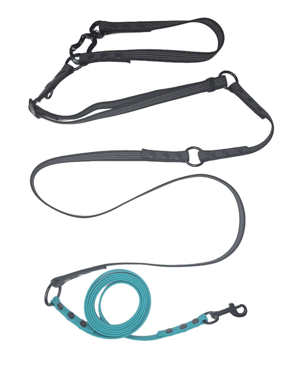 3-in-1 Adjustable Dog Leash, for small dogs - 5 m