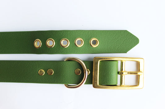 Moss Green Waterproof Coated Webbing Dog Collar